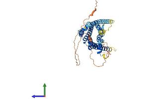 AlphaFold protein structure predicition of Mouse Recombinant Drd1 Protein, UniprotID Q61616 (Dopamine Receptor d1 Protein (AA 1-446) (His tag))