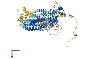 Transmembrane Protein 63A (TMEM63A) (AA 1-807) protein (His tag)