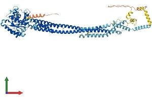AlphaFold protein structure predicition of Human Recombinant MFN2 Protein, UniprotID O95140 (MFN2 Protein (AA 1-757) (His tag))