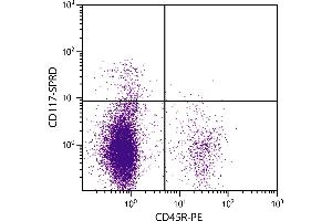 C57BL/6 mouse bone marrow cells were stained with Rat Anti-Mouse CD117-SPRD. (KIT antibody  (SPRD))