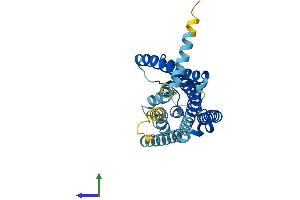 AlphaFold protein structure predicition of Human Recombinant OR4K3 Protein, UniprotID Q96R72 (OR4K3 Protein (AA 1-315) (His tag))