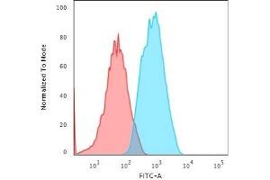 Flow Cytometric Analysis of Human HeLa cells using Smooth Muscle Actin Mouse Monoclonal Antibody (1A4) followed by Goat anti-Mouse IgG-CF488 (Blue); Isotype control (Red). (Smooth Muscle Actin antibody  (N-Term))