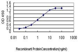 Detection limit for recombinant GST tagged PDK3 is approximately 0. (PDK3 antibody  (AA 174-263))