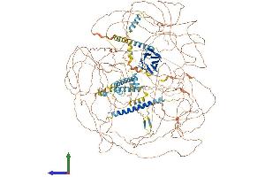 AlphaFold protein structure predicition of Human Recombinant CEP170B Protein, UniprotID Q9Y4F5 (KIAA0284 Protein (AA 1-1589) (His tag))