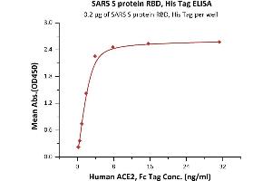 ELISA image for SARS-Coronavirus Spike Protein (SARS-CoV S) (RBD) protein (His tag) (ABIN6952627)