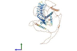 AlphaFold protein structure predicition of Mouse Recombinant Cep97 Protein, UniprotID Q9CZ62 (CEP97 Protein (AA 1-856) (His tag))