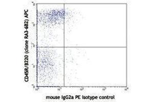 Flow Cytometry (FACS) image for anti-SLAM Family Member 6 (SLAMF6) antibody (PE) (ABIN2663834) (SLAMF6 antibody  (PE))