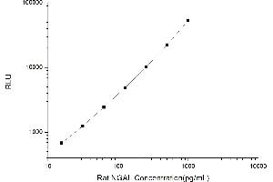 Typical standard curve (Lipocalin 2 CLIA Kit)