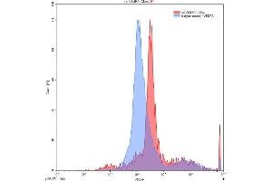 Detection of VEGFA in Chos line transfected with target gene using Polyclonal Antibody to Vascular Endothelial Growth Factor A (VEGFA) (VEGFA antibody  (AA 27-190))