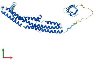 AlphaFold protein structure predicition of Human Recombinant SH3GL3 Protein, UniprotID Q99963 (SH3GL3 Protein (AA 1-347) (His tag))