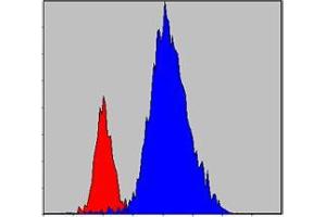 Flow cytometric analysis of Hela cells using JAK3 mouse mAb (blue) and negative control (red). (JAK3 antibody)