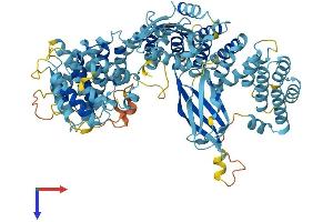 AlphaFold protein structure predicition of Mouse Recombinant Ap5b1 Protein, UniprotID Q3TAP4