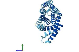 Protein Structure (PS) image for Transmembrane Protein 101 (TMEM101) (AA 1-257) protein (His tag) (ABIN7544382)