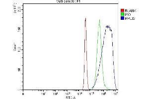 Flow Cytometry analysis of K562 cells using anti-RPL32 antibody (ABIN7602916).