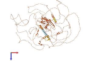 AlphaFold protein structure predicition of Human Recombinant RAD51AP2 Protein, UniprotID Q09MP3 (RAD51AP2 Protein (AA 1-1159) (His tag))