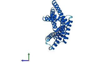 AlphaFold protein structure predicition of Mouse Recombinant Ywhaz Protein, UniprotID P63101 (14-3-3 zeta Protein (YWHAZ) (AA 1-245) (His tag))