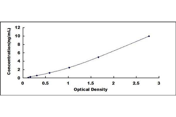 PEBP1 ELISA Kit