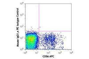 Flow Cytometry (FACS) image for anti-G Protein-Coupled Receptor 56 (GPR56) antibody (PE) (ABIN2662736) (GPR56 antibody  (PE))