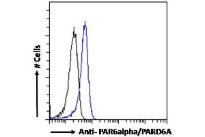 ABIN185152 Flow cytometric analysis of paraformaldehyde fixed Jurkat cells (blue line), permeabilized with 0. (PARD6A antibody  (C-Term))