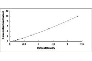 Typical standard curve (SETD7 ELISA Kit)