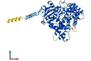 AlphaFold protein structure predicition of Mouse Recombinant Cyp2j5 Protein, UniprotID O54749 (CYP2J5 Protein (AA 1-501) (His tag))