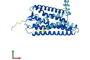 AlphaFold protein structure predicition of Human Recombinant OR8J2 Protein, UniprotID Q8NGG1 (OR8J2 Protein (AA 1-315) (His tag))