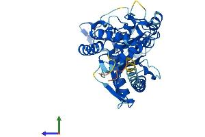 AlphaFold protein structure predicition of Human Recombinant MAB21L3 Protein, UniprotID Q8N8X9 (MAB21L3 Protein (AA 1-362) (His tag))