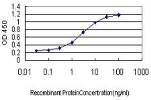 Detection limit for recombinant GST tagged ZNF345 is approximately 0. (ZNF345 antibody  (AA 1-111))