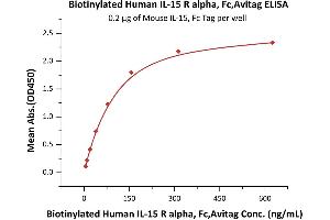 Immobilized Mouse IL-15, Fc Tag (ABIN6810037,ABIN6938879) at 2 μg/mL (100 μL/well) can bind Biotinylated Human IL-15 R alpha, Fc,Avitag (ABIN6731258,ABIN6809875) with a linear range of 10-156 ng/mL (Routinely tested).