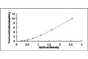 Typical standard curve (DCLK1 ELISA Kit)