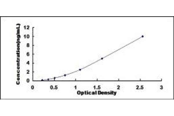 DCLK1 ELISA Kit