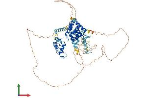 AlphaFold protein structure predicition of Mouse Recombinant Nr1d2 Protein, UniprotID Q60674