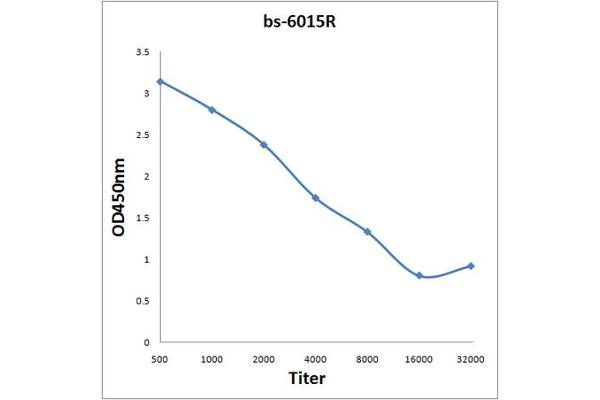 SMARCA1 antibody  (AA 281-380)