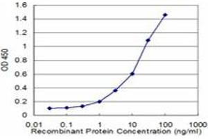 Detection limit for recombinant GST tagged CES2 is approximately 1ng/ml as a capture antibody. (CES2 antibody  (AA 514-621))