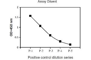 Image no. 2 for cAMP Responsive Element Binding Protein 1 (CREB1) ELISA Kit (ABIN1981736) (CREB1 ELISA Kit)