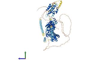 AlphaFold protein structure predicition of Mouse Recombinant Kcnh1 Protein, UniprotID Q60603 (KCNH1 Protein (AA 1-989) (His tag))