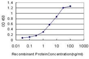 Detection limit for recombinant GST tagged MGAT4A is approximately 0. (MGAT4A antibody  (AA 436-535))