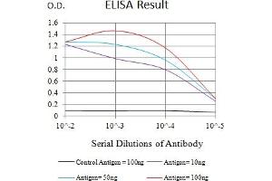 Black line: Control Antigen (100 ng),Purple line: Antigen (10 ng), Blue line: Antigen (50 ng), Red line:Antigen (100 ng) (TIM3 antibody  (AA 224-301))