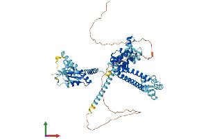 AlphaFold protein structure predicition of Mouse Recombinant Nop56 Protein, UniprotID Q9D6Z1 (NOP56 Protein (AA 1-580) (His tag))