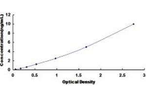 Typical standard curve (Presenilin 2 ELISA Kit)
