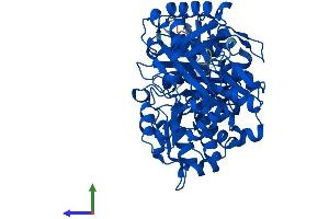 Protein Structure (PS) image for Phosphoglucomutase 5 (PGM5) (AA 1-567) protein (His tag) (ABIN7550770)
