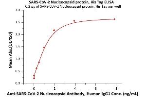 Immobilized SARS-CoV-2 Nucleocapsid protein, His Tag (ABIN6952454,ABIN6952460) at 2 μg/mL (100 μL/well) can bind A-CoV-2 Nucleocapsid Antibody, Human IgG1  with a linear range of 0. (SARS-CoV-2 Nucleocapsid Protein (SARS-CoV-2 N) (His tag))