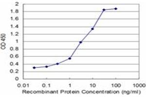 Detection limit for recombinant GST tagged ARHGEF6 is approximately 0. (ARHGEF6 antibody  (AA 61-175))