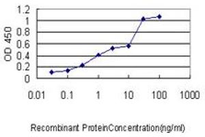 Detection limit for recombinant GST tagged CBX3 is approximately 0. (CBX3 antibody  (AA 1-183))