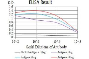 ELISA image for anti-Aldolase A, Fructose-Bisphosphate (ALDOA) (AA 9-145) antibody (ABIN5611222)