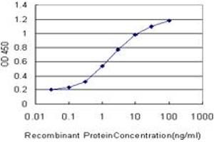Detection limit for recombinant GST tagged MTF1 is approximately 0. (MTF1 antibody  (AA 41-140))