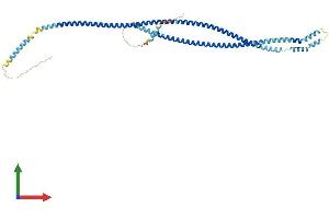 AlphaFold protein structure predicition of Human Recombinant PLVAP Protein, UniprotID Q9BX97