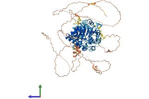 AlphaFold protein structure predicition of Human Recombinant DDX31 Protein, UniprotID Q9H8H2 (DDX31 Protein (AA 1-851) (His tag))