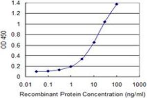 Detection limit for recombinant GST tagged MCM3AP is 0. (GANP antibody  (AA 1-100))
