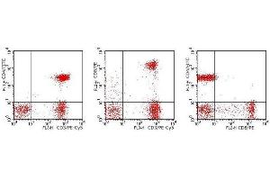 Flow Cytometry (FACS) image for anti-CD3/CD4/CD8 antibody (FITC,PE,PE-Cy5) (ABIN2145022) (CD3/CD4/CD8 antibody (FITC,PE,PE-Cy5))